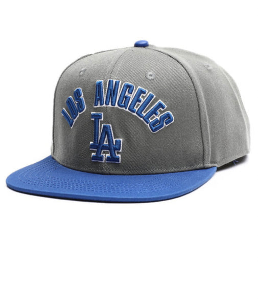 PRO STANDARD LA DODGERS HAT – Denim Clothing Shop